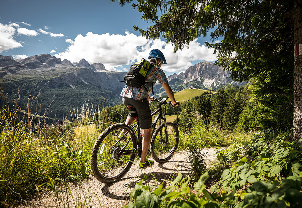 Estate 2011 E-MTB Sharing